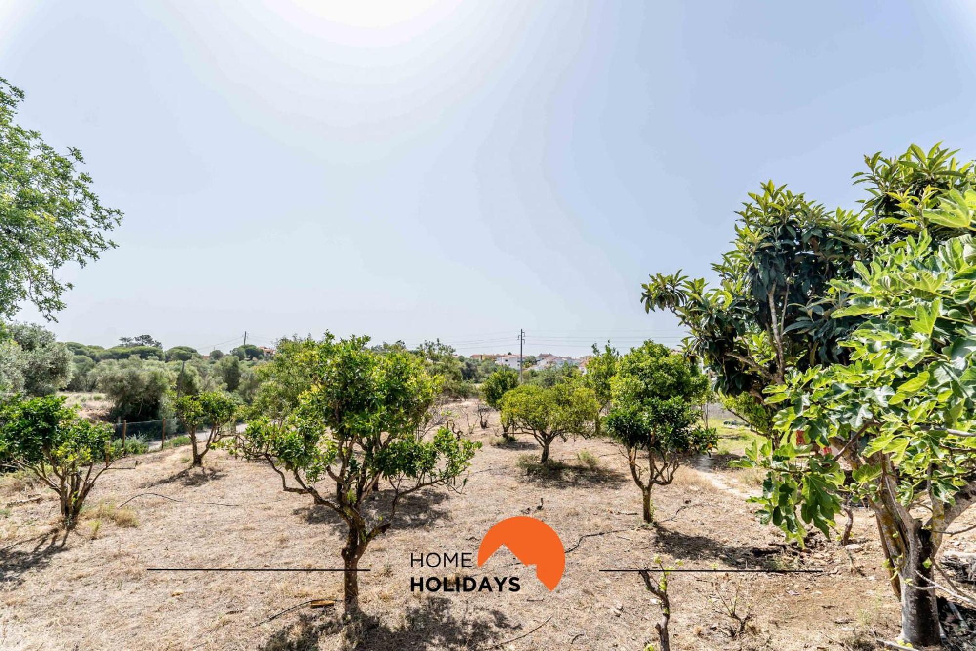 #178 Monte Das Churras 1 By Home Holidays Αλμπουφέιρα Εξωτερικό φωτογραφία